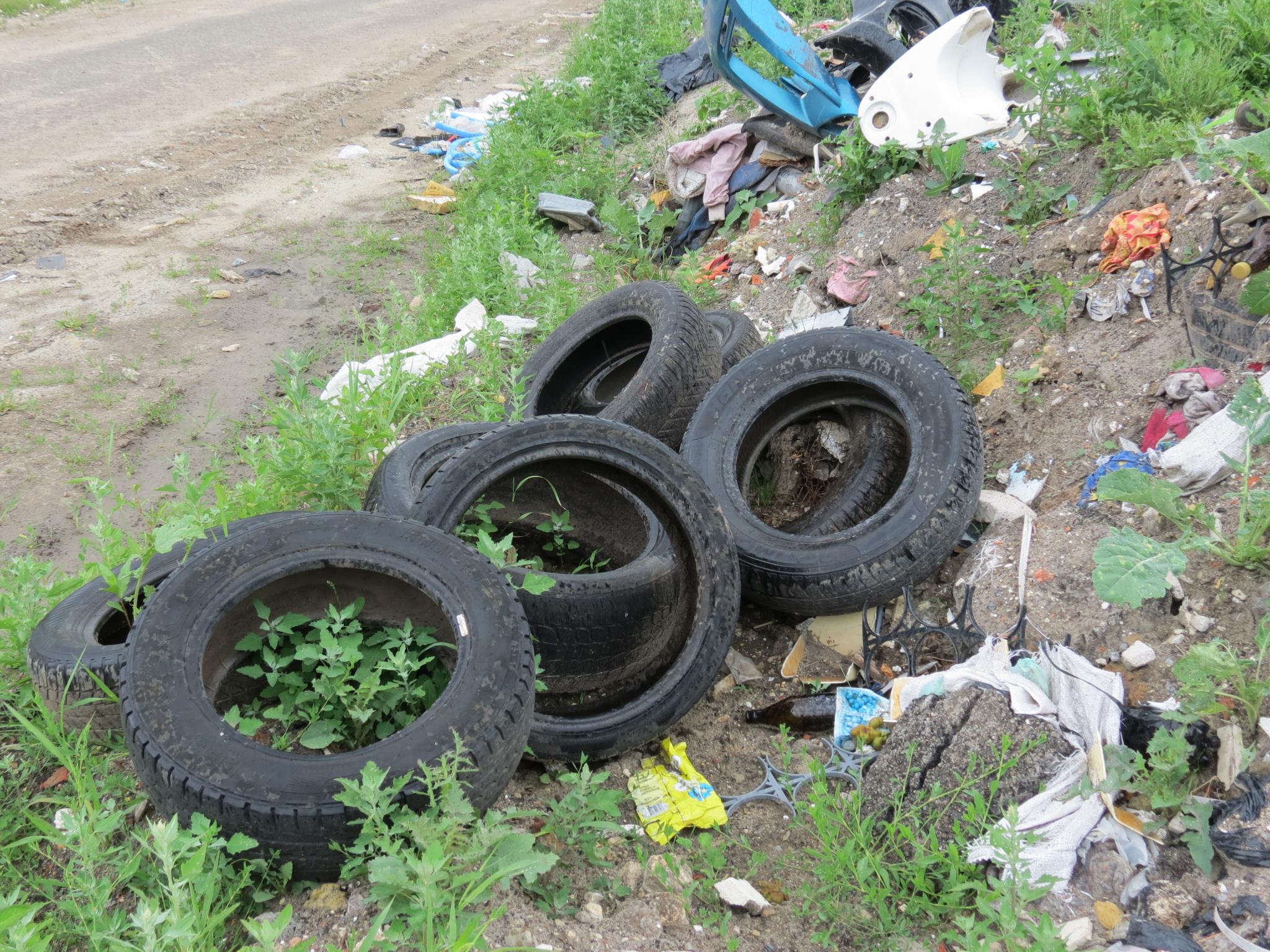 Новини Тернополя - фото з Викидають старі дивани, холодильники та не тільки. Репортаж зі стихійного звалища на Подільській