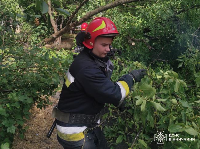 Новини Вінниці - фото з У Вінниці та Літинській громаді вітер повалив дерева. Рятувальники розчищали дороги