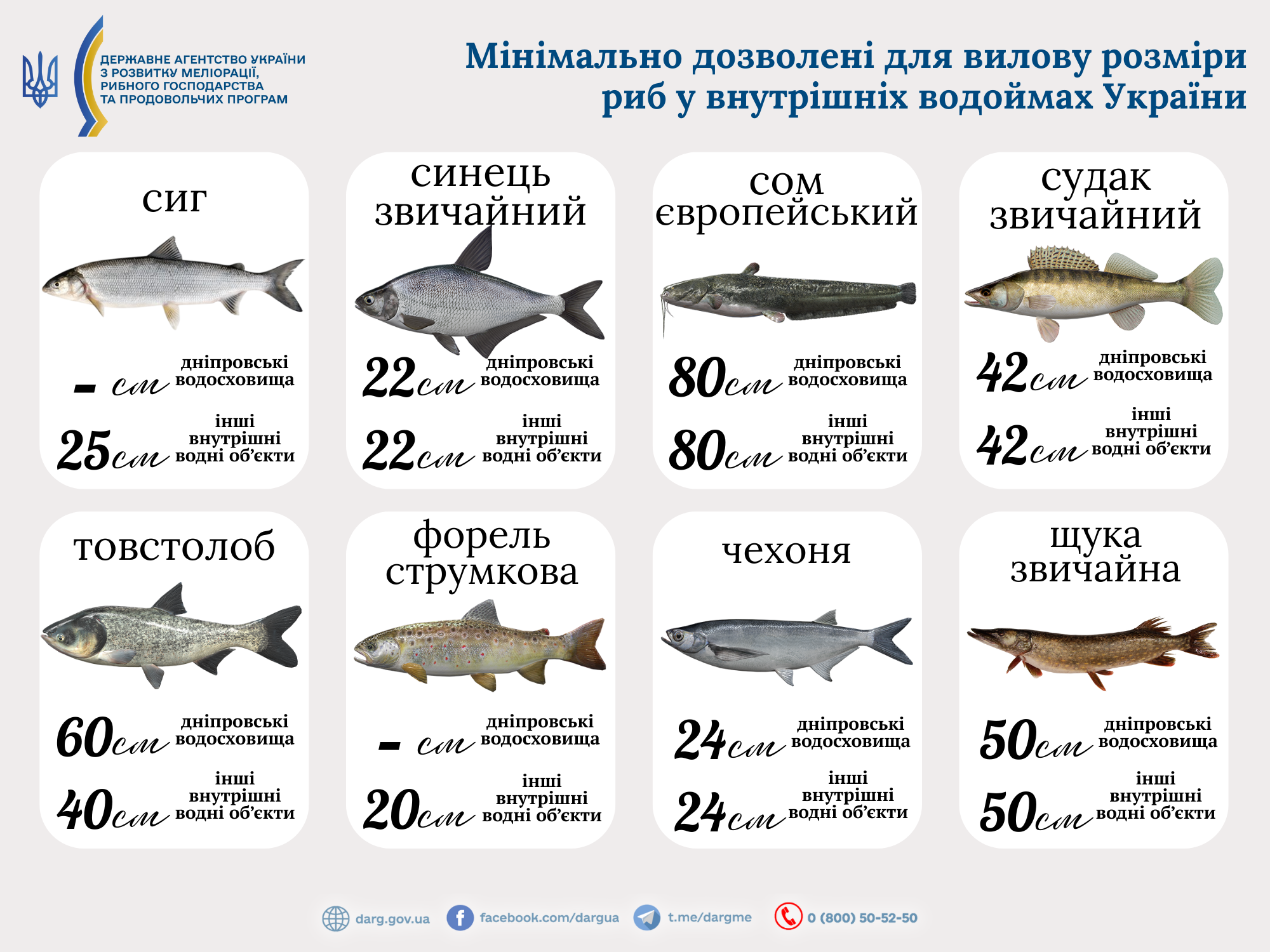 Новини Тернополя - фото з Де порибалити поблизу Тернополя: куди поїхати та що можна впіймати (КАРТА)