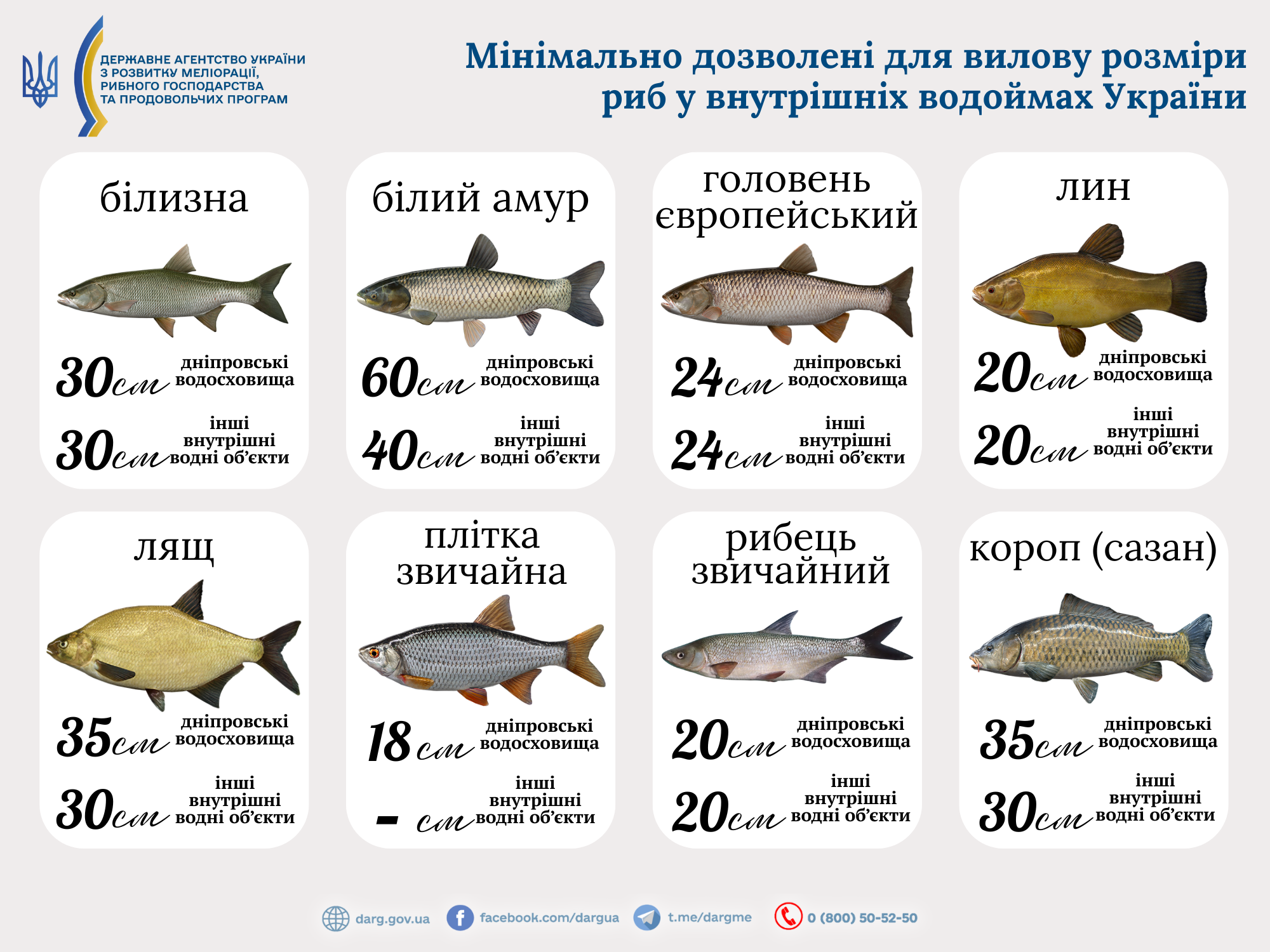 Новини Тернополя - фото з Де порибалити поблизу Тернополя: куди поїхати та що можна впіймати (КАРТА)