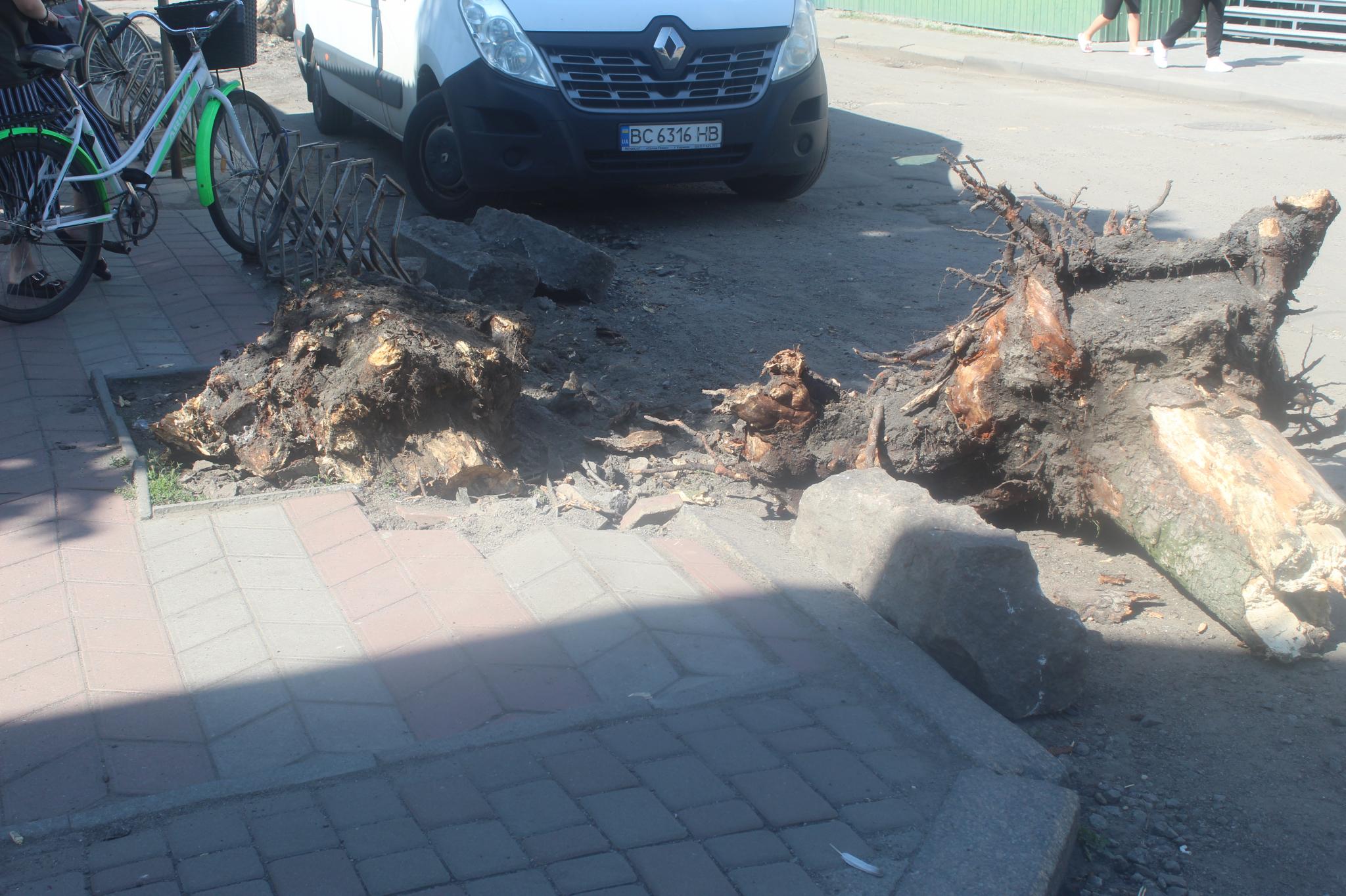 Новини Козятина - фото з На вулиці Винниченка видалили дерева, від яких несло гнилістю