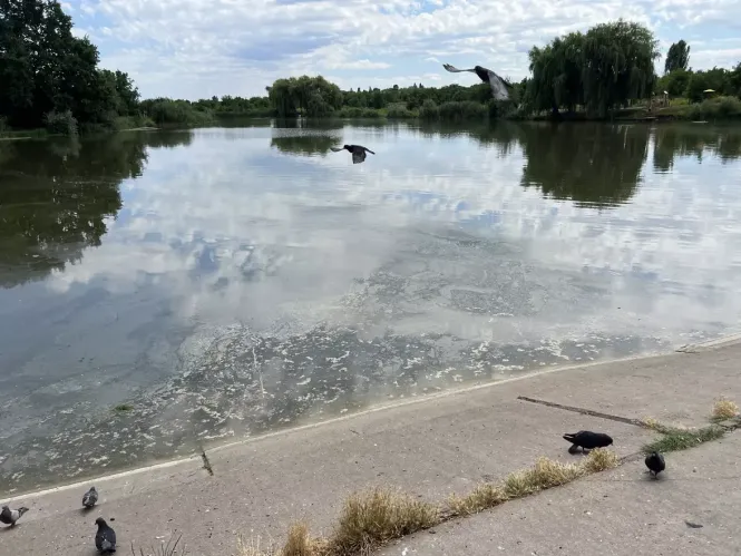 Новини Вінниці - фото з ТОП важливих новин на «20 хвилин» від 21 по 28 липня, які ви могли пропустити