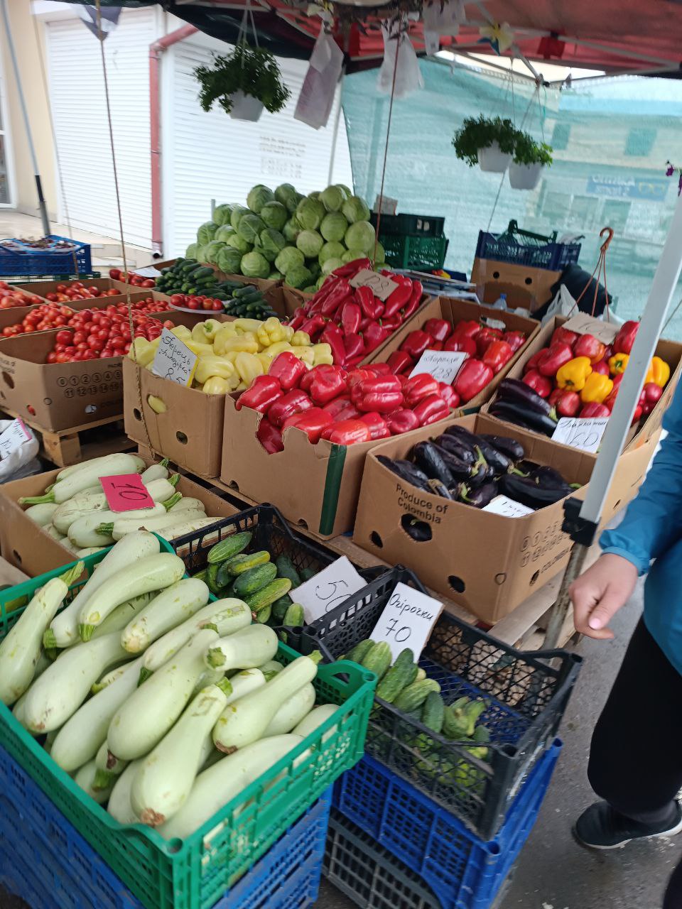 Новини Тернополя - фото з Скільки коштують овочі, фрукти та ягоди на ринку Тернополя