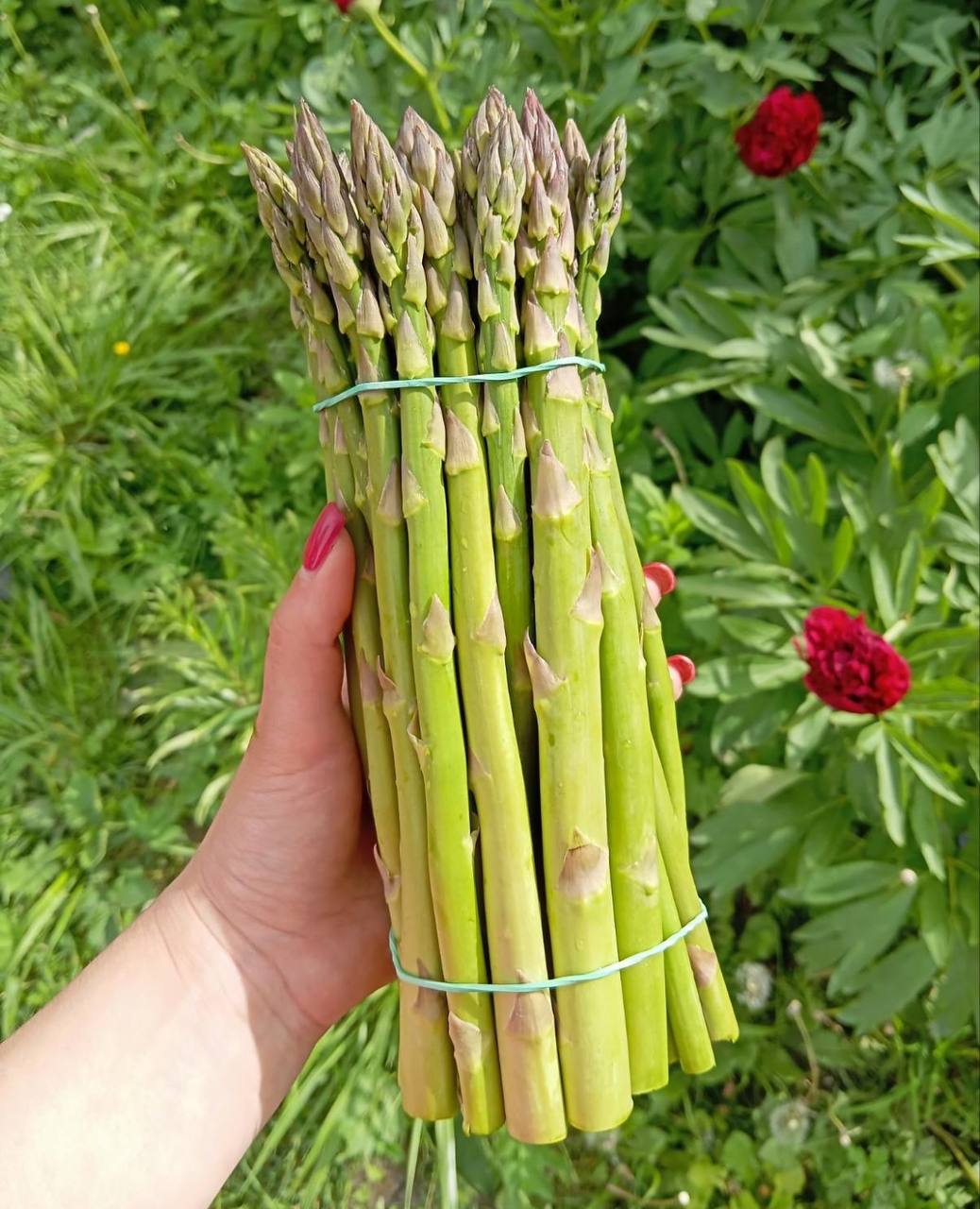 Новини Тернополя - фото з «Земля дає надію…» Родина зниклого безвісти воїна з Ладичина береже його справу і чекає на повернення