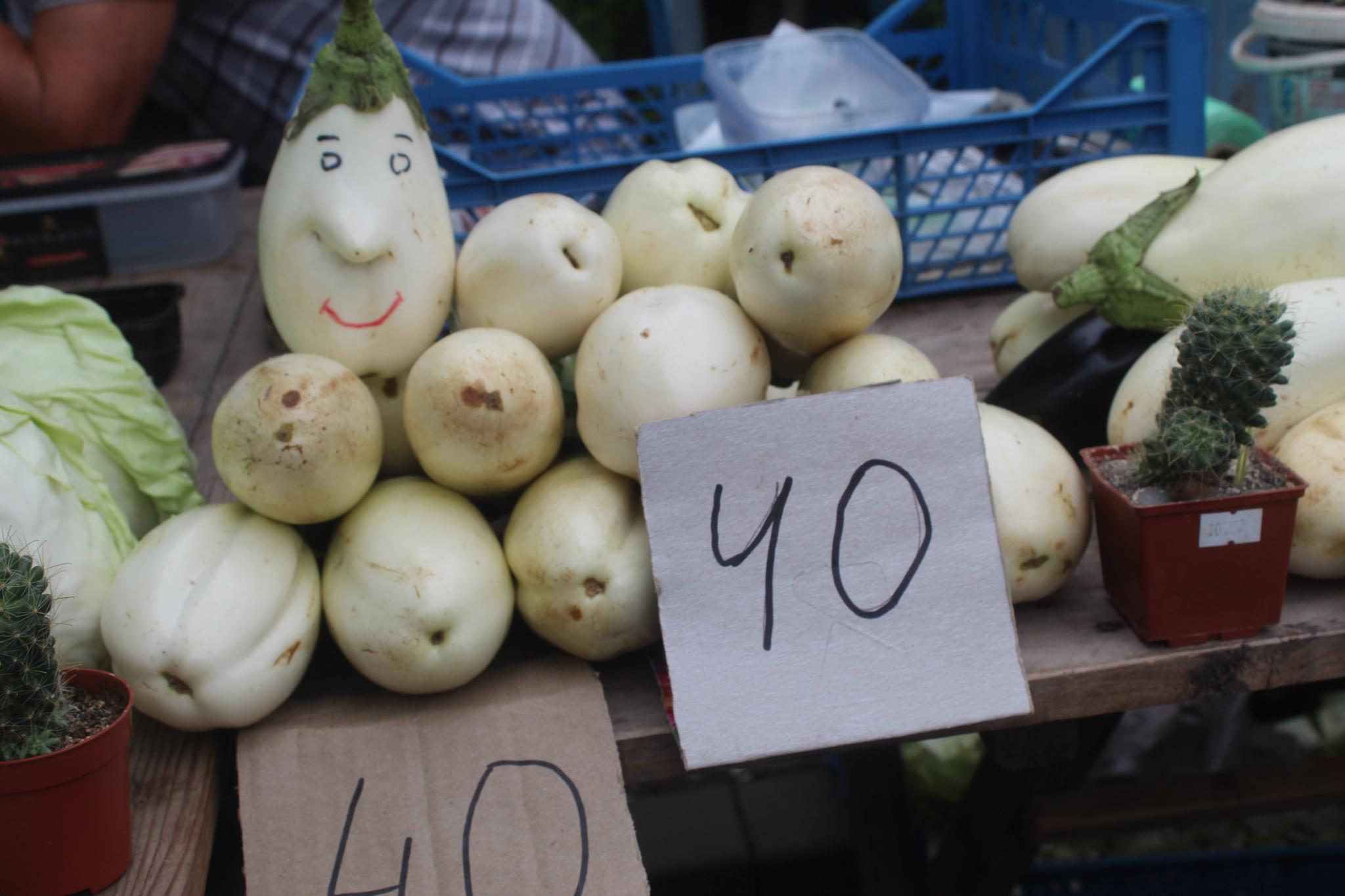 Новини Козятина - фото з Вареники з чорницями за 360 тільки для гурманів, а от алабая даром віддають