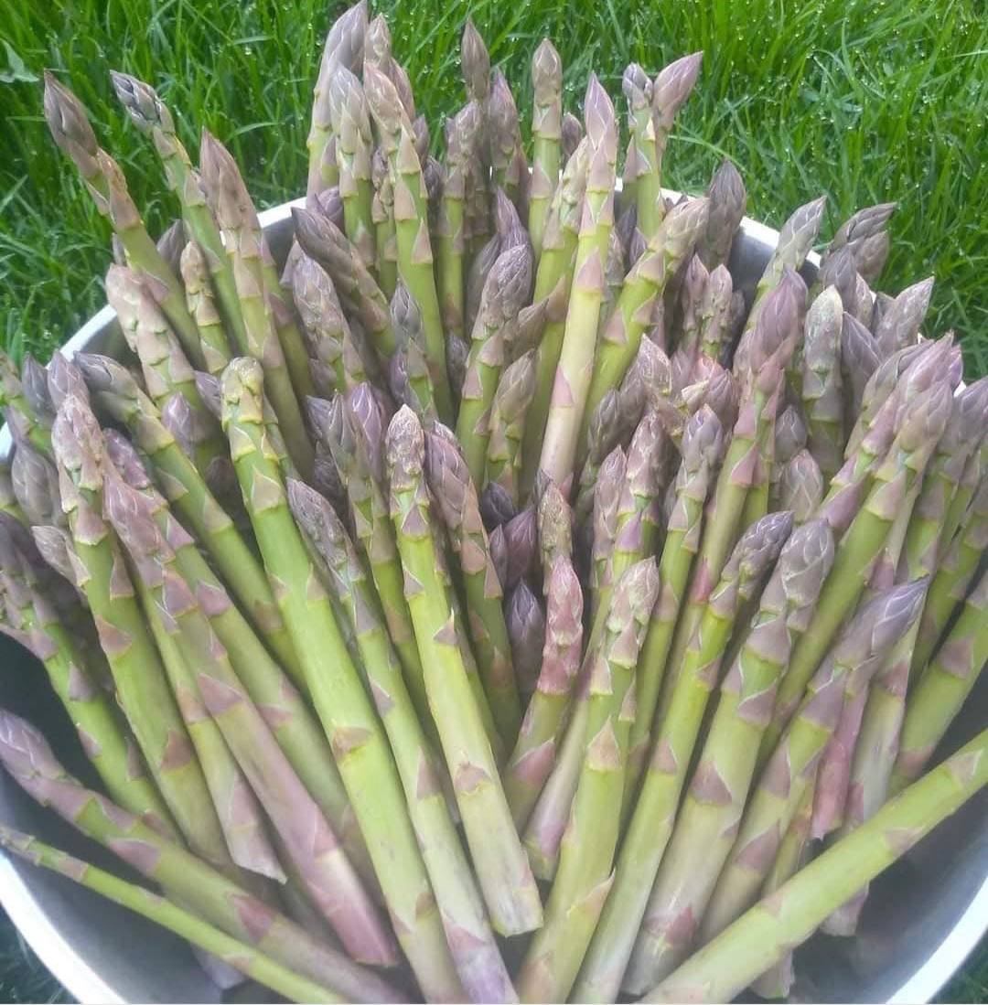 Новини Тернополя - фото з «Земля дає надію…» Родина зниклого безвісти воїна з Ладичина береже його справу і чекає на повернення