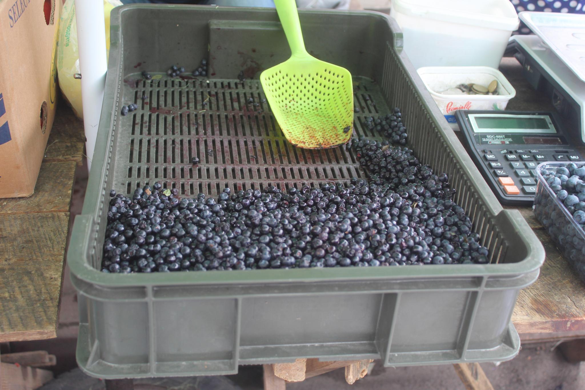 Новини Козятина - фото з Вареники з чорницями за 360 тільки для гурманів, а от алабая даром віддають