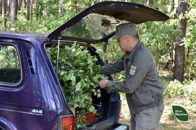 Новини Вінниці - фото з Через війну на Вінниччину масово мігрують дикі тварини. Лісівники готують кормові майданчики