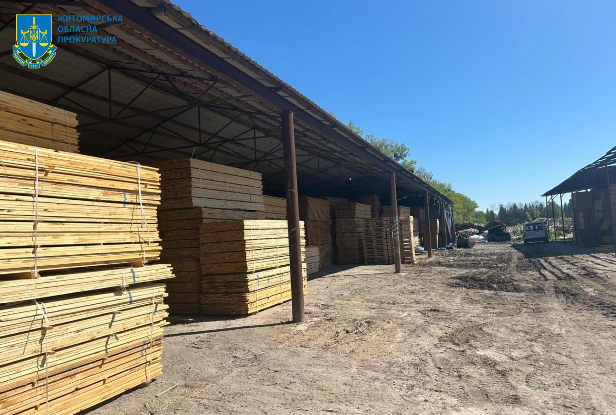 Новини Житомира - фото з На Житомирщині викрито посадовців лісової галузі, які завдали майже 23 млн грн збитків державі