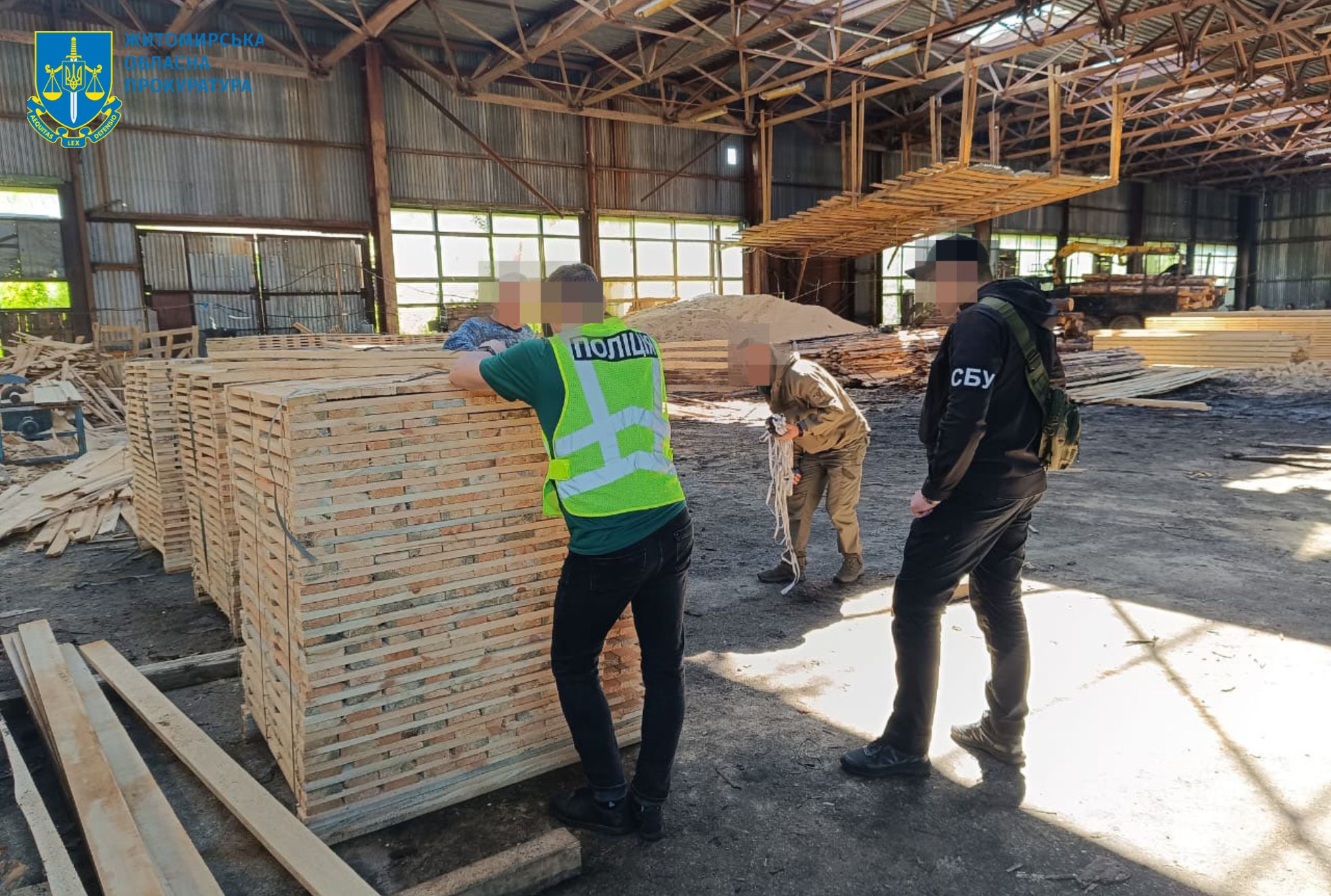 Новини Житомира - фото з На Житомирщині викрито посадовців лісової галузі, які завдали майже 23 млн грн збитків державі