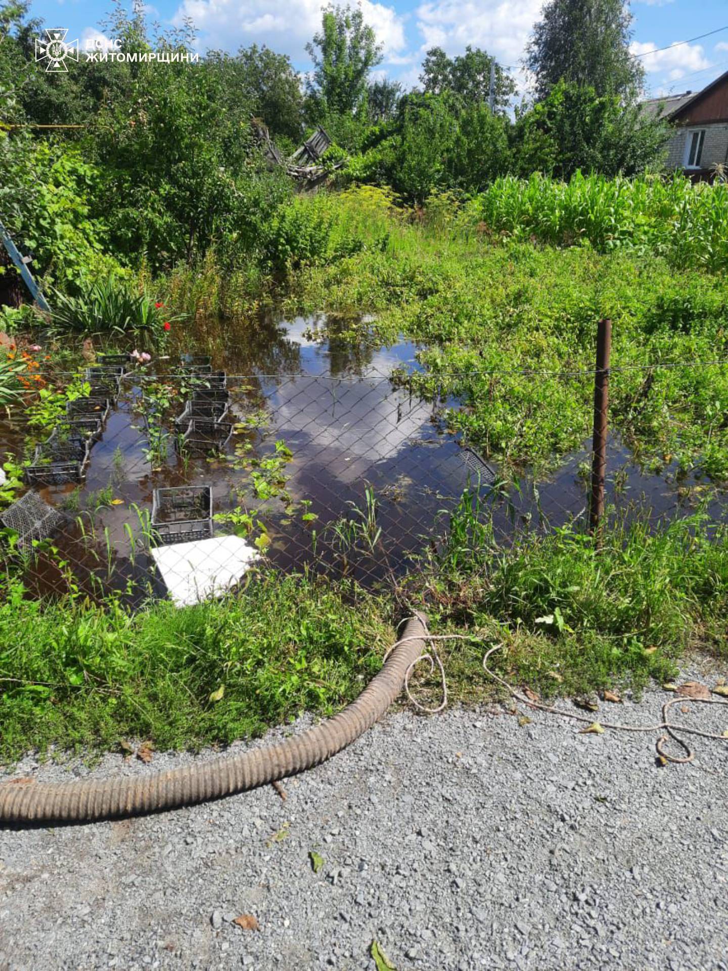 Новини Житомира - фото з За минулу добу рятувальники 6 разів відкачували воду із затоплених будівель та присадибних ділянок