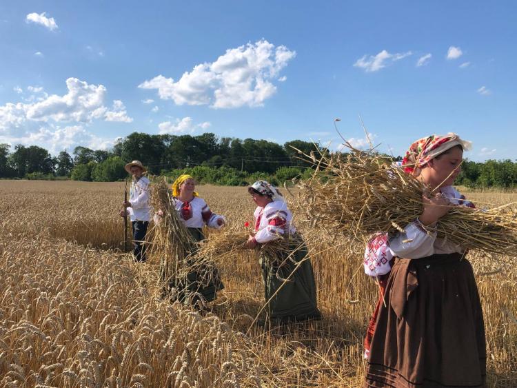 Новини Вінниці - фото з У Великих Крушлинцях провели традиційне жнивне дійство з плетінням Спасової бороди