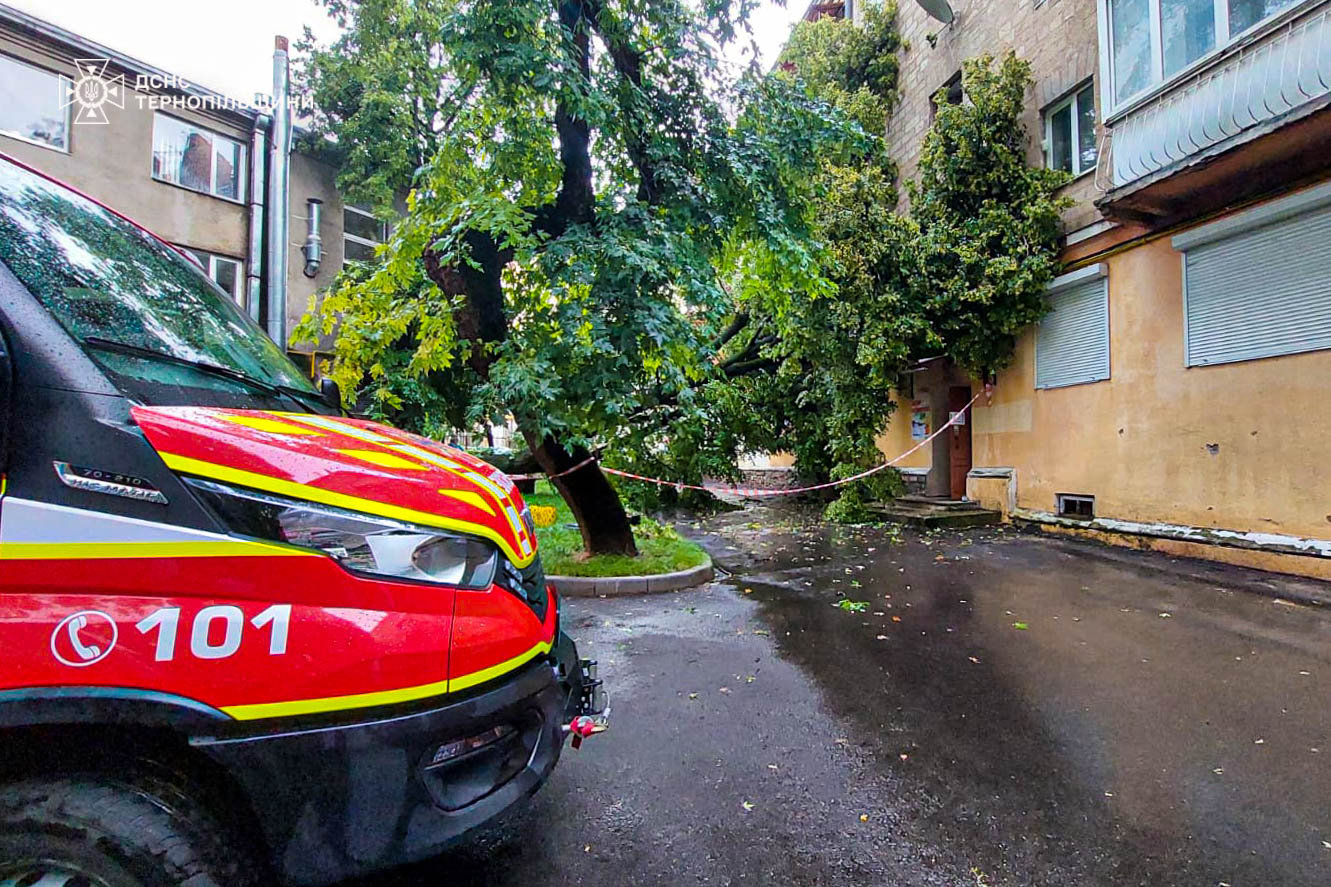 Новини Тернополя - фото з У Тернополі через зливу підтопило два приватні житлові будинки