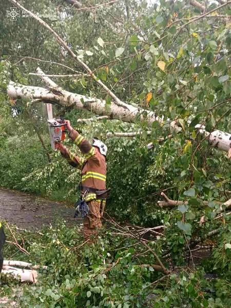 Новини Житомира - фото з Учора рятувальники Житомирщини 6 разів залучалися до ліквідації наслідків негоди