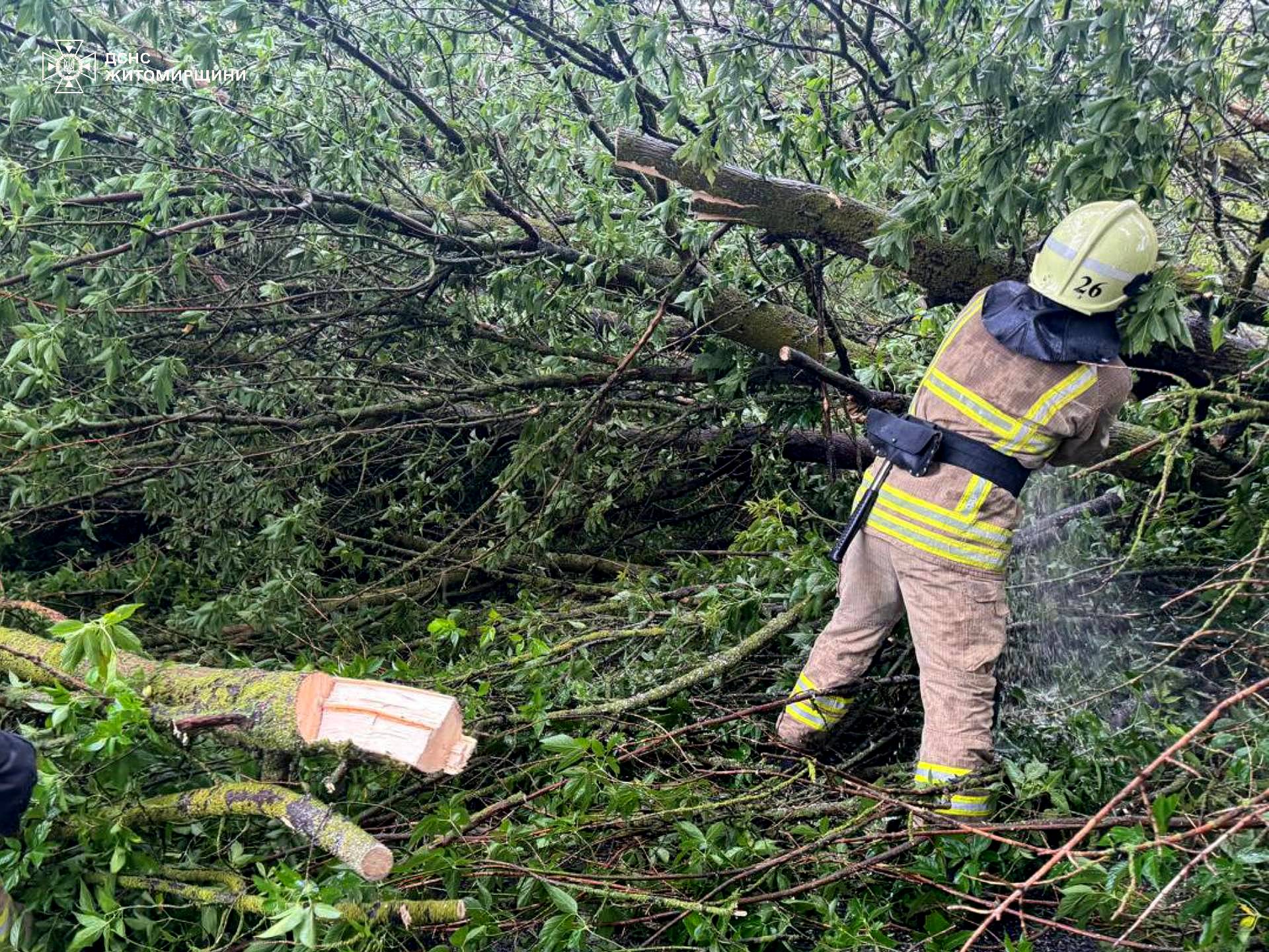 Новини Житомира - фото з Учора рятувальники Житомирщини 6 разів залучалися до ліквідації наслідків негоди