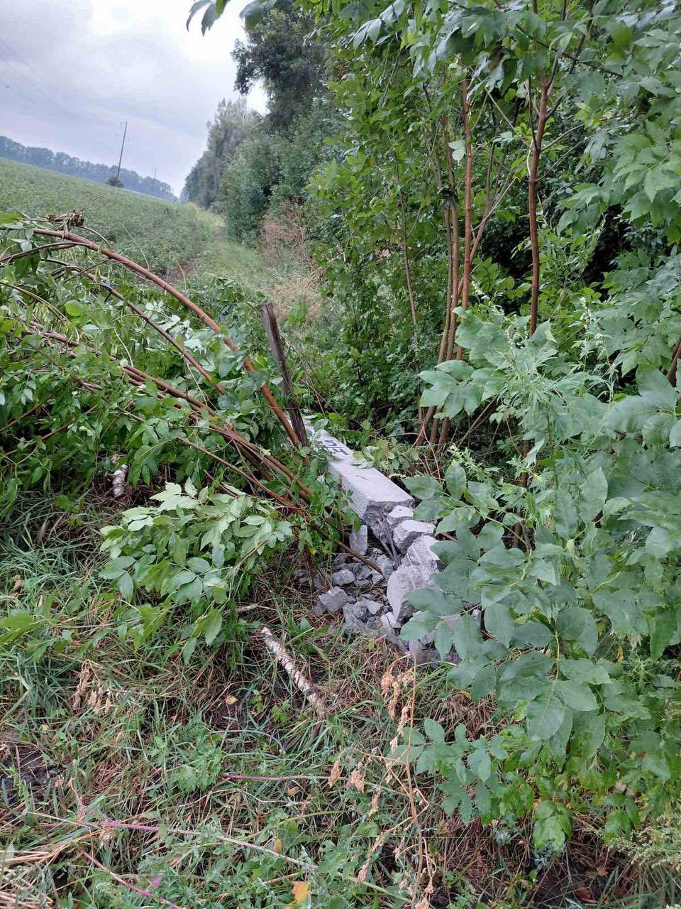 Новини Житомира - фото з Негода залишила без електрики 27 населених пунктів області