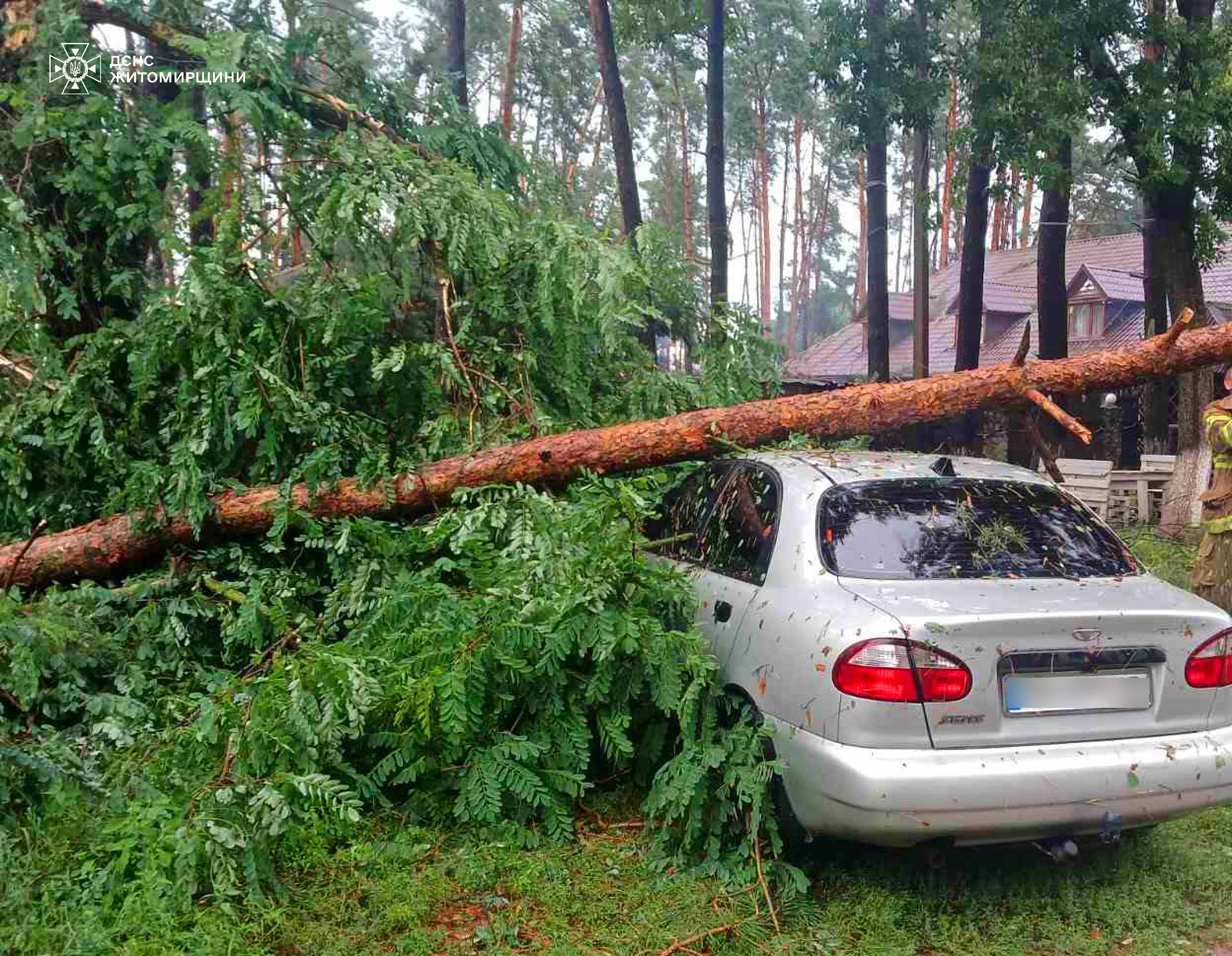 Новини Житомира - фото з Учора рятувальники Житомирщини 6 разів залучалися до ліквідації наслідків негоди