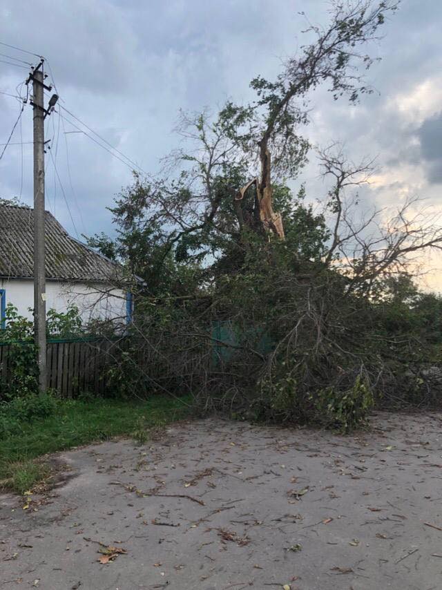 Новини Житомира - фото з Негода залишила без електрики 27 населених пунктів області