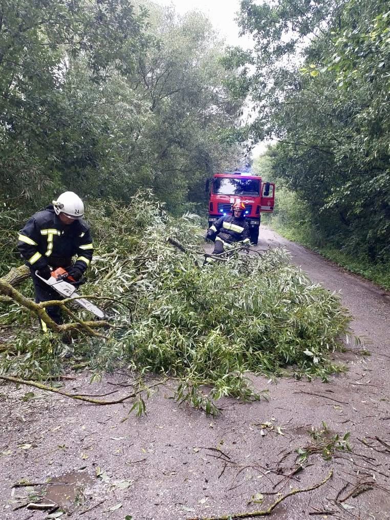 Новини Житомира - фото з У Чуднівській громаді на дорогу впало 194 дерева