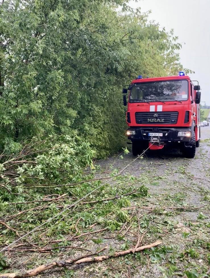 Новини Житомира - фото з У Чуднівській громаді на дорогу впало 194 дерева