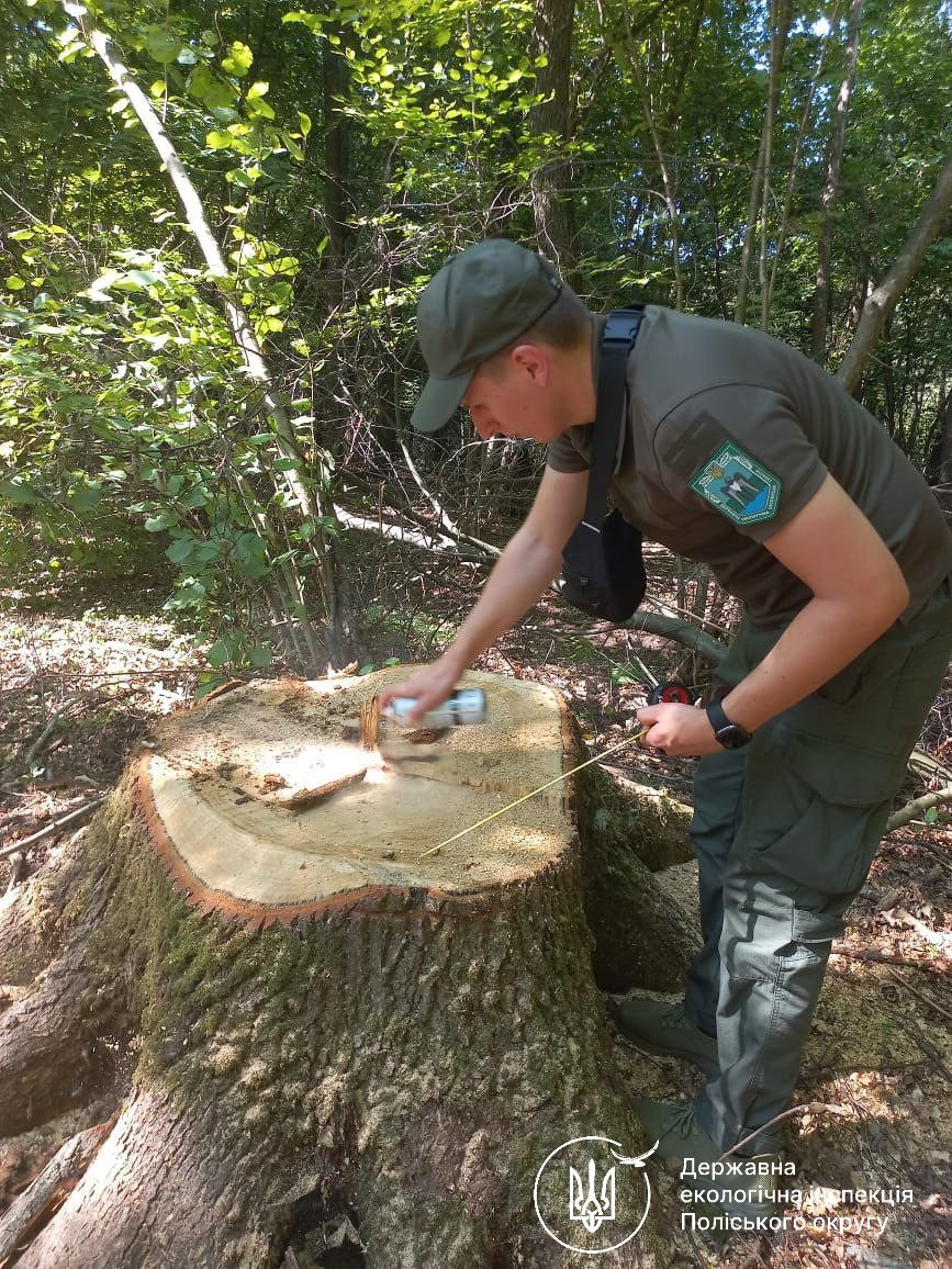 Новини Житомира - фото з Пулинська громада має сплатити майже 800 тисяч гривень за незаконну порубку дерев біля села Нарцизівка