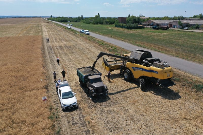 Новини Вінниці - фото з Врожайність вища, ніж торік. В області зібрали врожай ранніх зернових та зернобобових