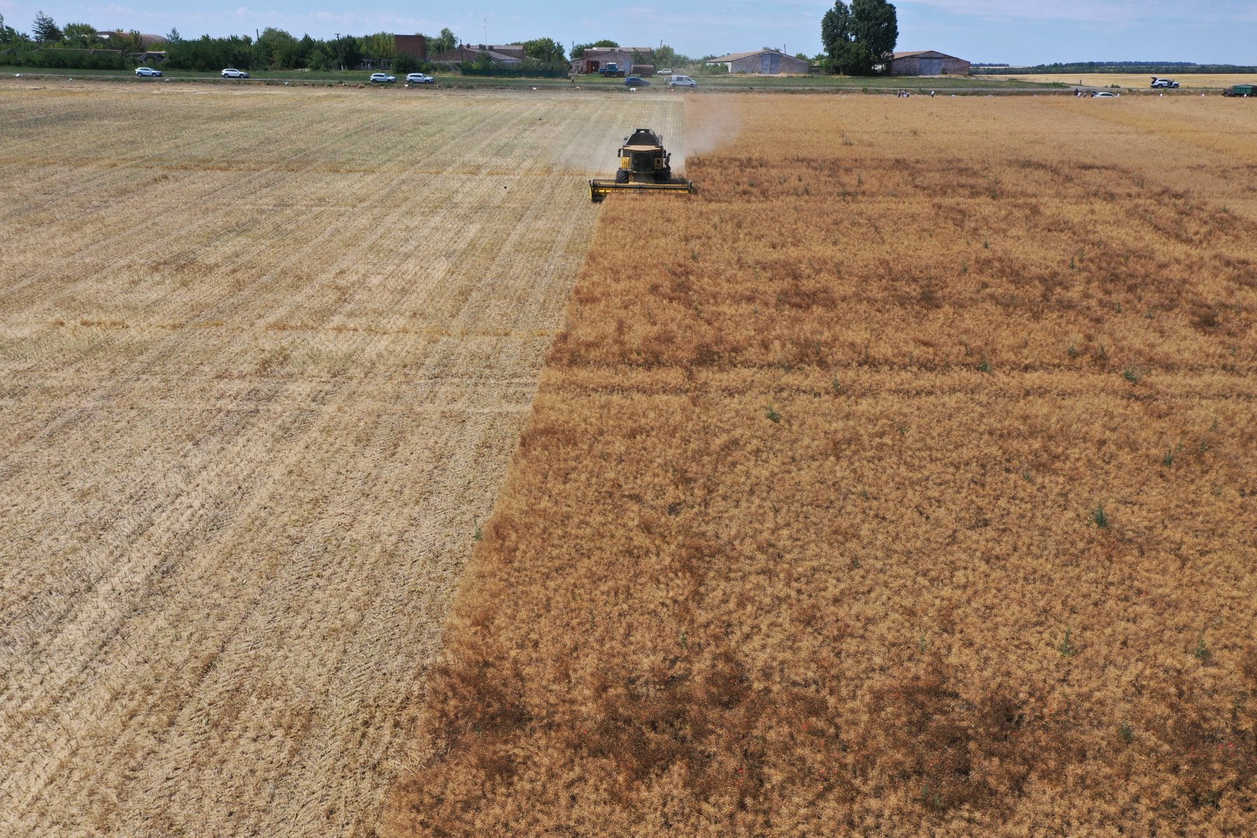 Новини Вінниці - фото з Врожайність вища, ніж торік. В області зібрали врожай ранніх зернових та зернобобових