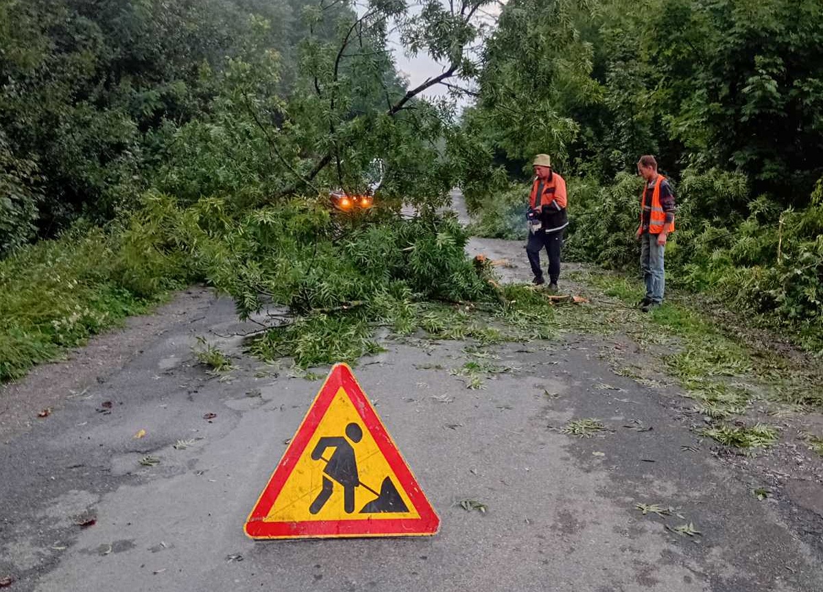 Новини Тернополя - фото з Наслідки негоди: електрику відновили у більшості населених пунктів Тернопільщини