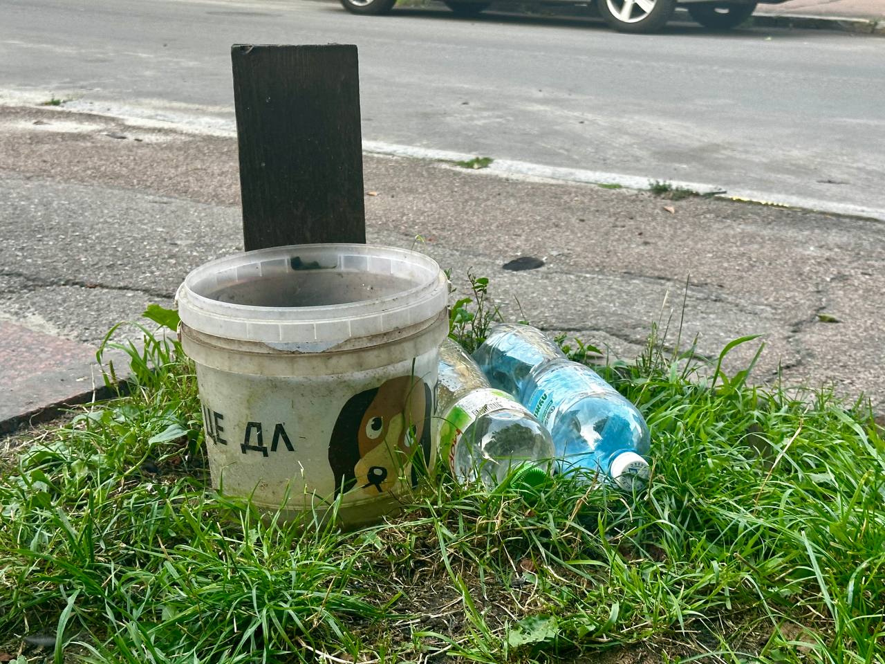 Новини Житомира - фото з Житомиряни турбуються про тварин - у місті помітили ємності з водою для друзів наших менших