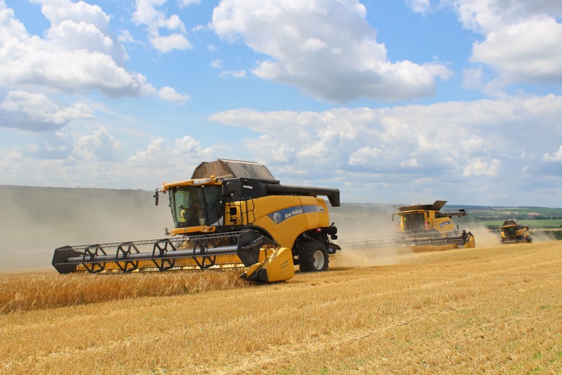 Новини Вінниці - фото з Врожайність вища, ніж торік. В області зібрали врожай ранніх зернових та зернобобових