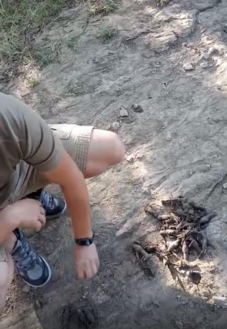 Новини Вінниці - фото з Рибалка з Хмільницького району наловив раків на 93 тисячі. Коли стартує заборона?