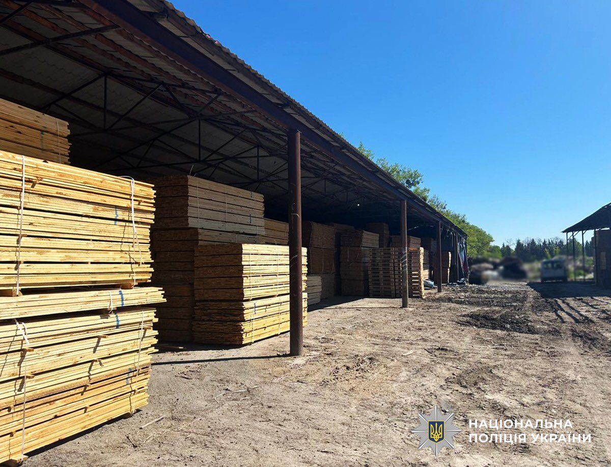 Новини Житомира - фото з На Житомирщині громаднин Туреччини організував контрабанду української сосни майже на 5 мільйонів гривень