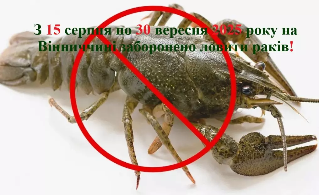 Новини Козятина - фото з У Прушинці, що на Козятинщині, рибалка наловив раків на 93 тисячі гривень