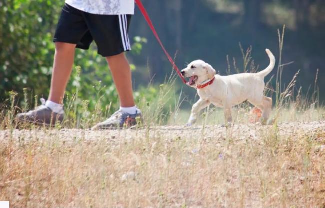 Новини Вінниці - фото з ТОП важливих новин на «20 хвилин» від 11 по 18 серпня, які ви могли пропустити