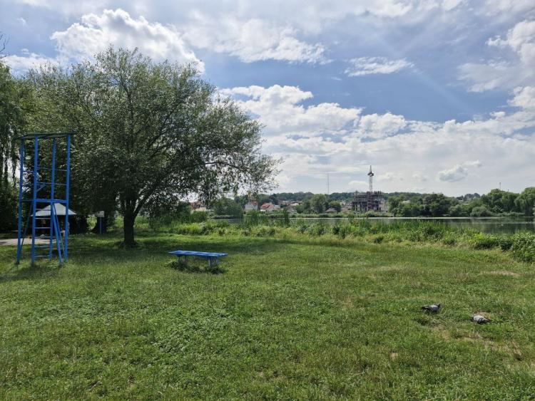 Новини Вінниці - фото з Сквер на Гонти заріс бур’янами. Що тут планували і хто за це відповідає?