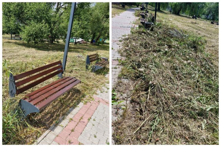 Новини Вінниці - фото з Сквер на Гонти заріс бур’янами. Що тут планували і хто за це відповідає?