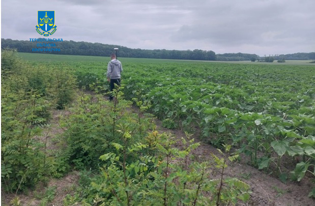 Новини Тернополя - фото з Судитимуть жителя Чортківщини за самовільне зайняття землі в заказнику «Озерянський»
