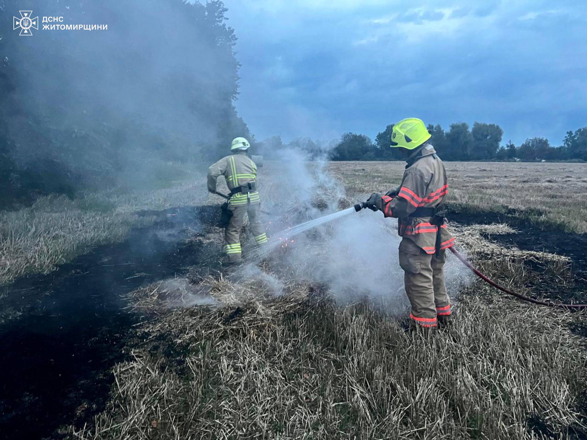 Новини Житомира - фото з Упродовж минулої доби вогнеборці ліквідували 5 загорянь сухостою!