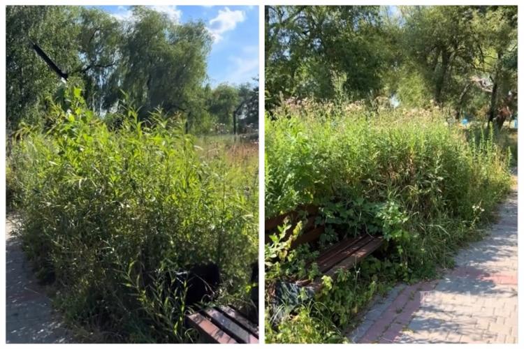 Новини Вінниці - фото з Сквер на Гонти заріс бур’янами. Що тут планували і хто за це відповідає?