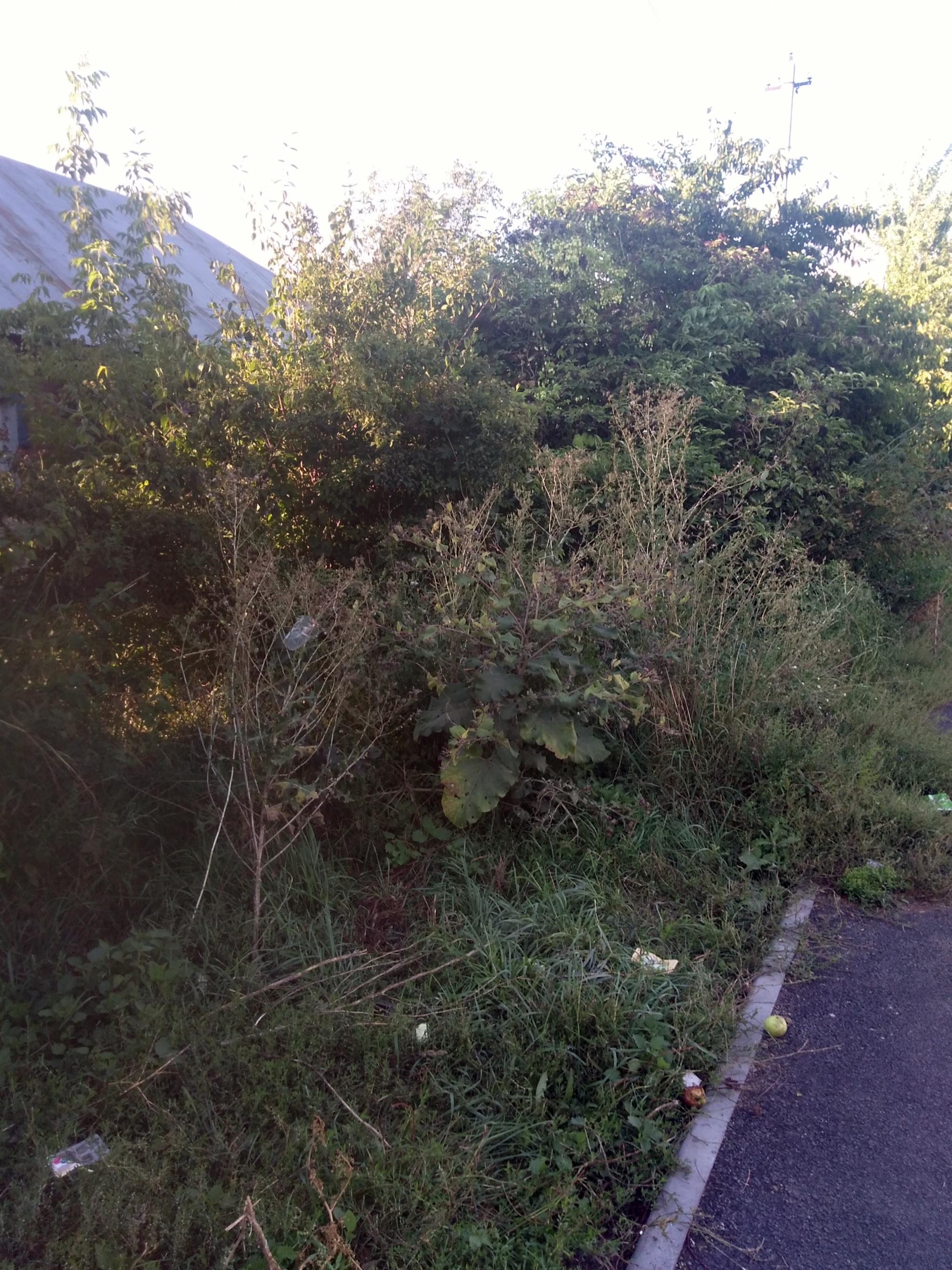 Новини Козятина - фото з «Добре що їх поставили, то менше ганяти будуть»