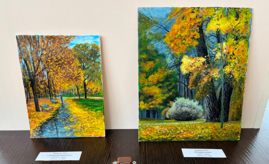 Новини Вінниці - фото з «Його рятували дві бригади медиків»: чому у Барі відмінили святкування Дня Незалежності