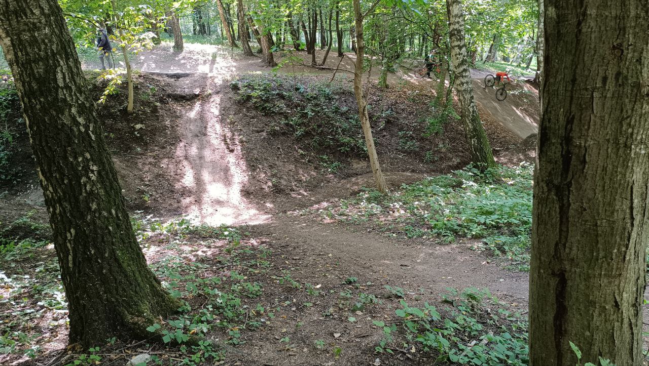 Новини Тернополя - фото з Трактор зрівняв байк-трампліни у парку: журналісти дізналися причину
