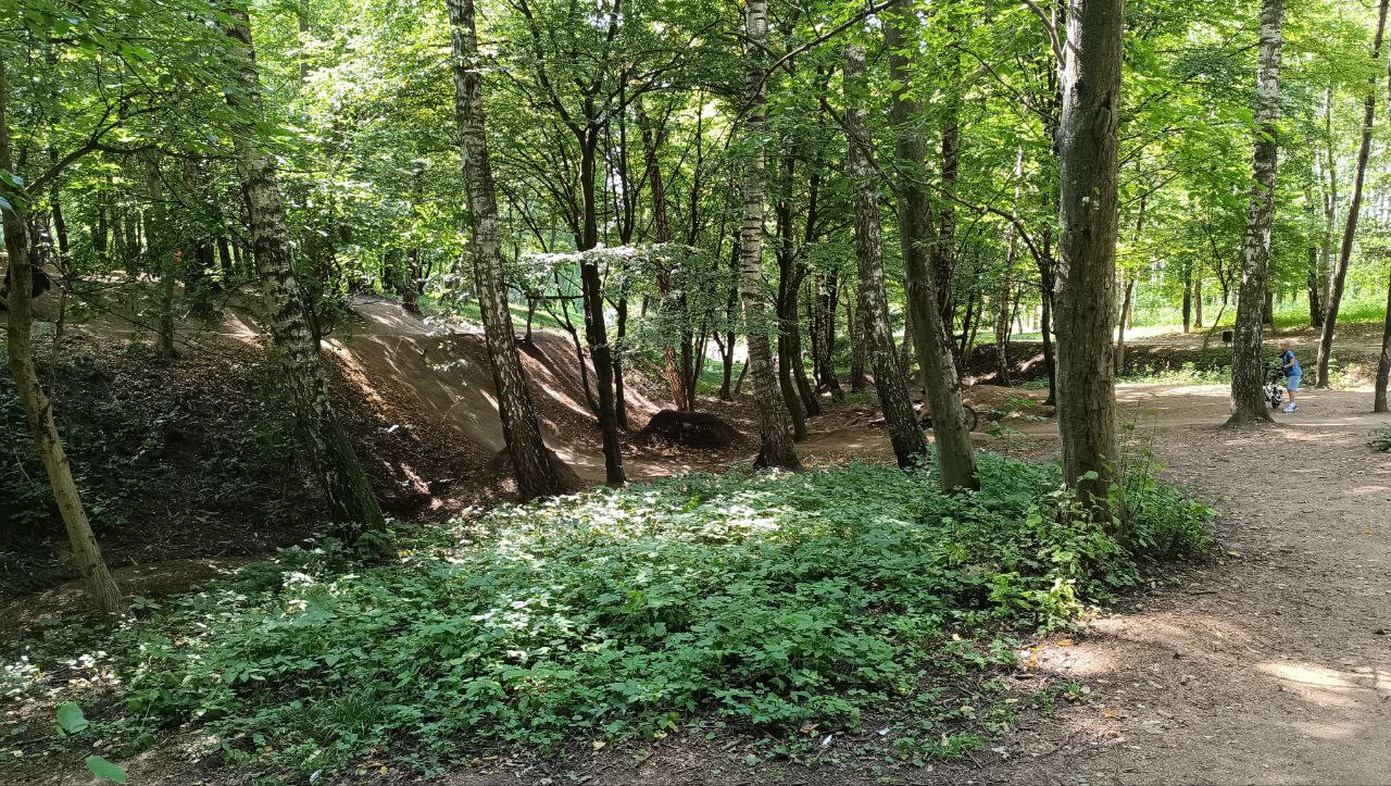 Новини Тернополя - фото з Трактор зрівняв байк-трампліни у парку: журналісти дізналися причину