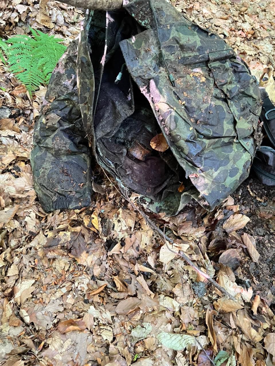 Новини Тернополя - фото з Рештки тіл двох людей виявили прикордонники у Карпатах