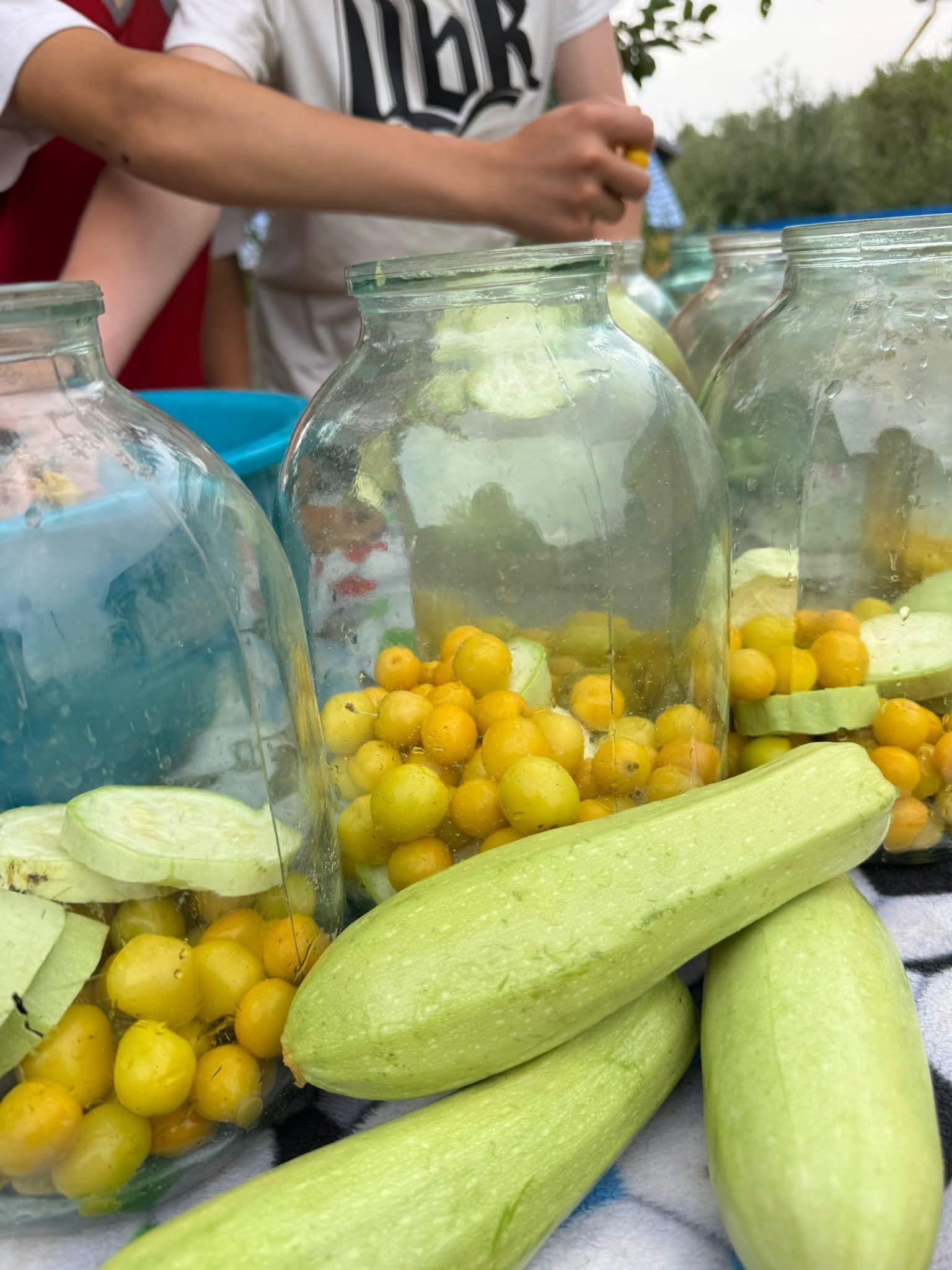 Новини Тернополя - фото з Нагадує смак ананаса: рецепт компоту з кабачків і аличі за рецептом отця Філюка