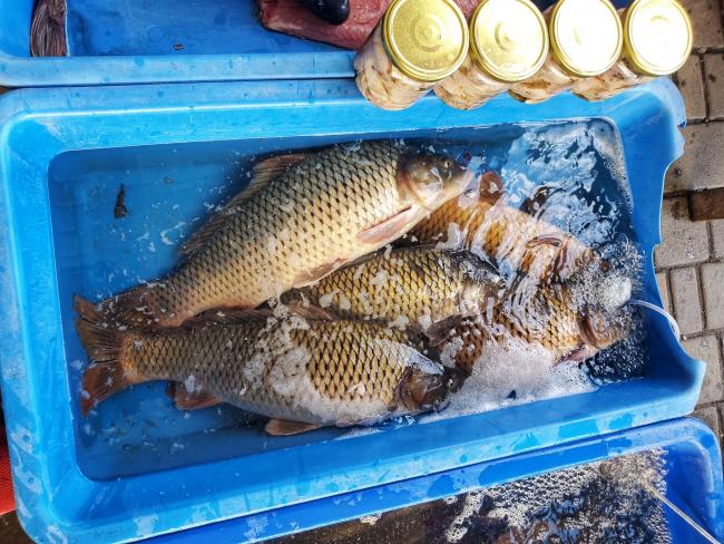 Новини Вінниці - фото з Повертаючись на Вінниччину: чому варто заїхати на Летичівський рибний ринок