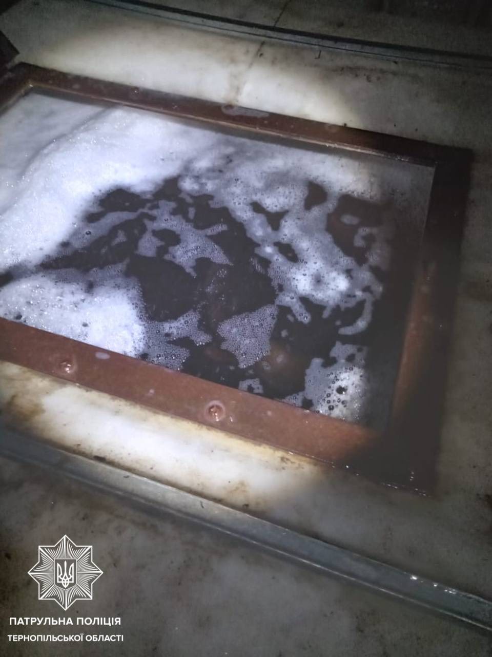 Новини Тернополя - фото з Понад 200 кілограмів щуки перевозили вночі у Підволочиську. Поліція каже, — без документів