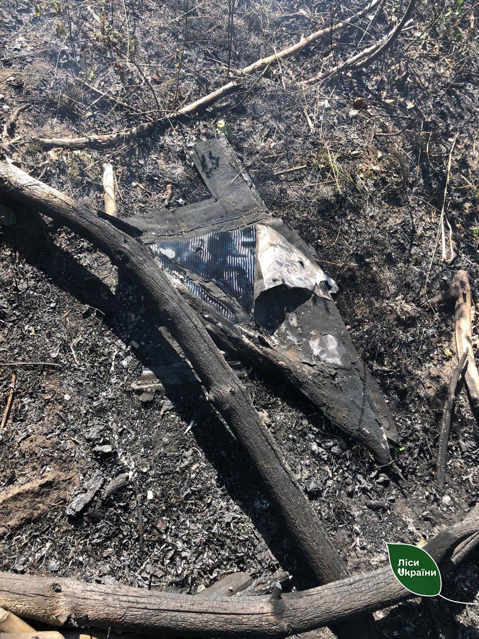 Новини Житомира - фото з Лісові масиви на Житомирщині знову постраждали від уламків збитих дронів