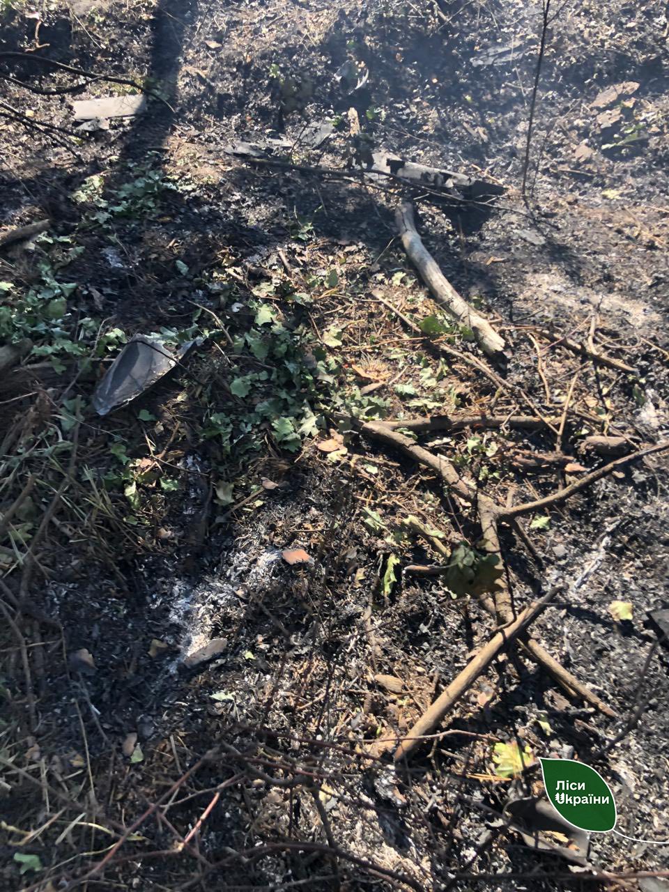 Новини Житомира - фото з Лісові масиви на Житомирщині знову постраждали від уламків збитих дронів