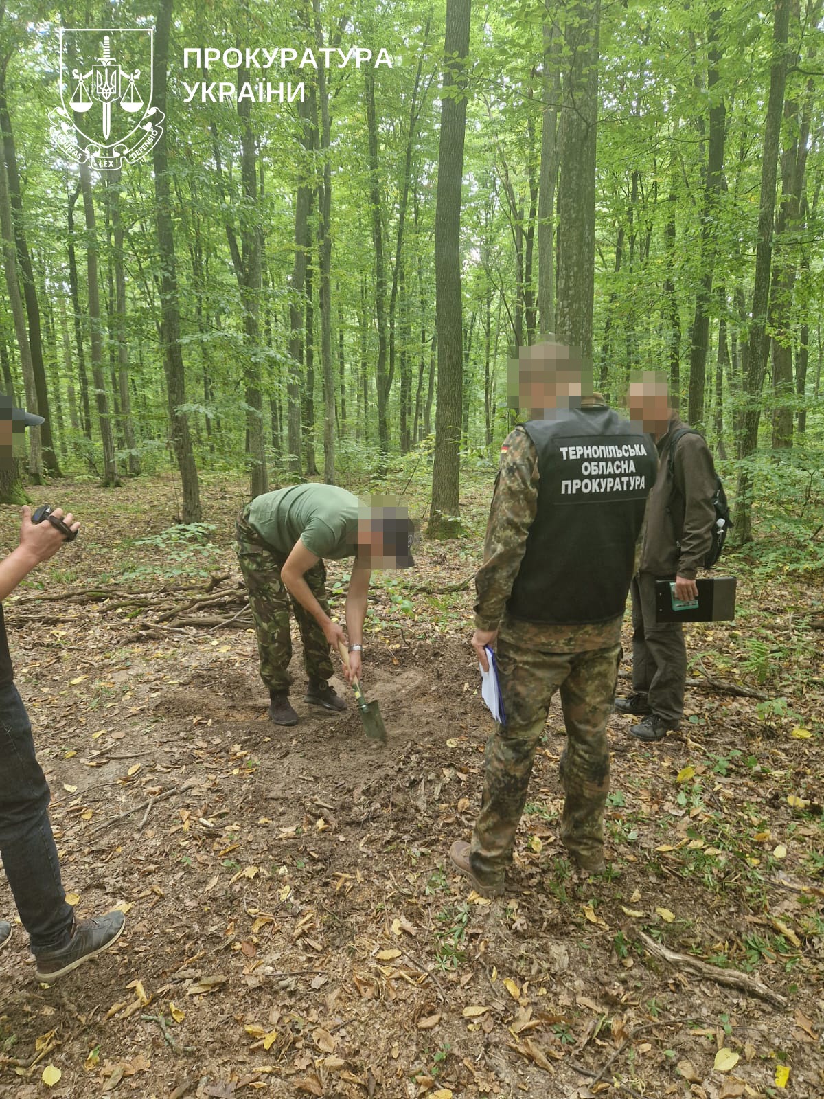 Новини Тернополя - фото з На Тернопільщині судитимуть організовану злочинну групу за незаконну вирубку лісу